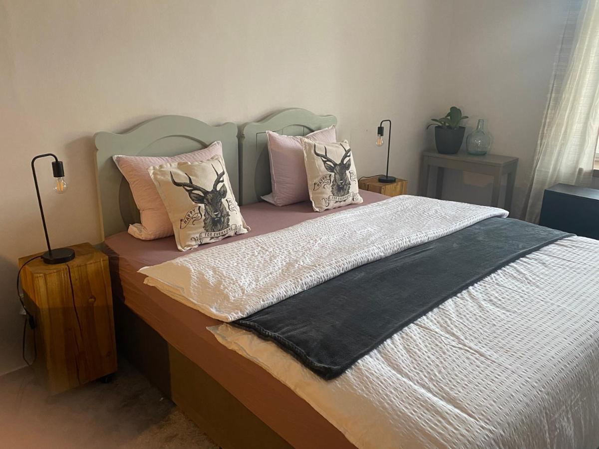 Apartment Stara Posta Hartmanice  Екстер'єр фото