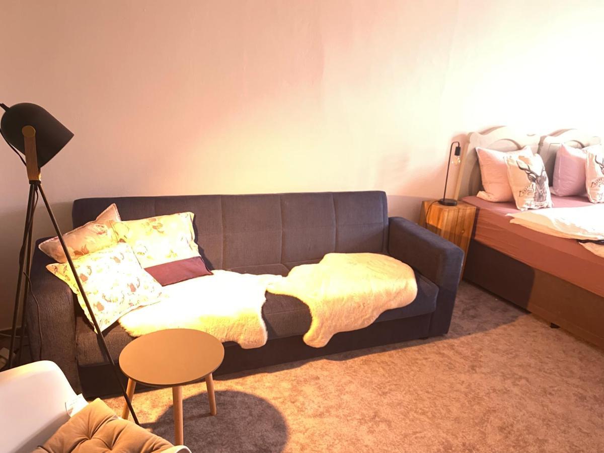 Apartment Stara Posta Hartmanice  Екстер'єр фото