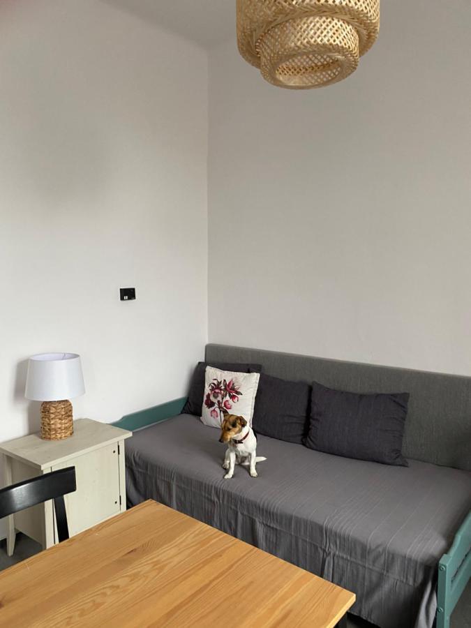 Apartment Stara Posta Hartmanice  Екстер'єр фото