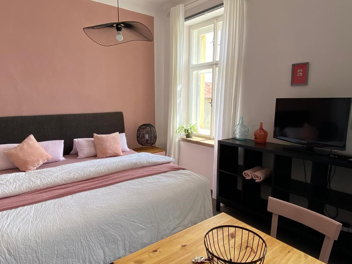 Apartment Stara Posta Hartmanice  Екстер'єр фото